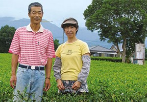 Familie Mazumoto aus Japan, Teebauern