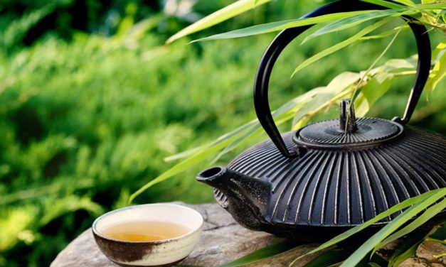 Japanische Teekultur: Ein Spaziergang durch Jahrhunderte
