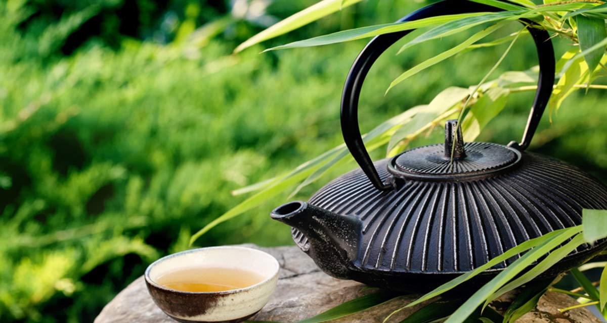 Teekultur in Japan, Teezeremonie, Grüntee, Matcha