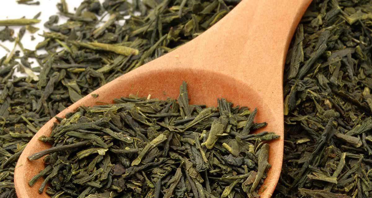 Grüner Tee Gegen Alzheimer