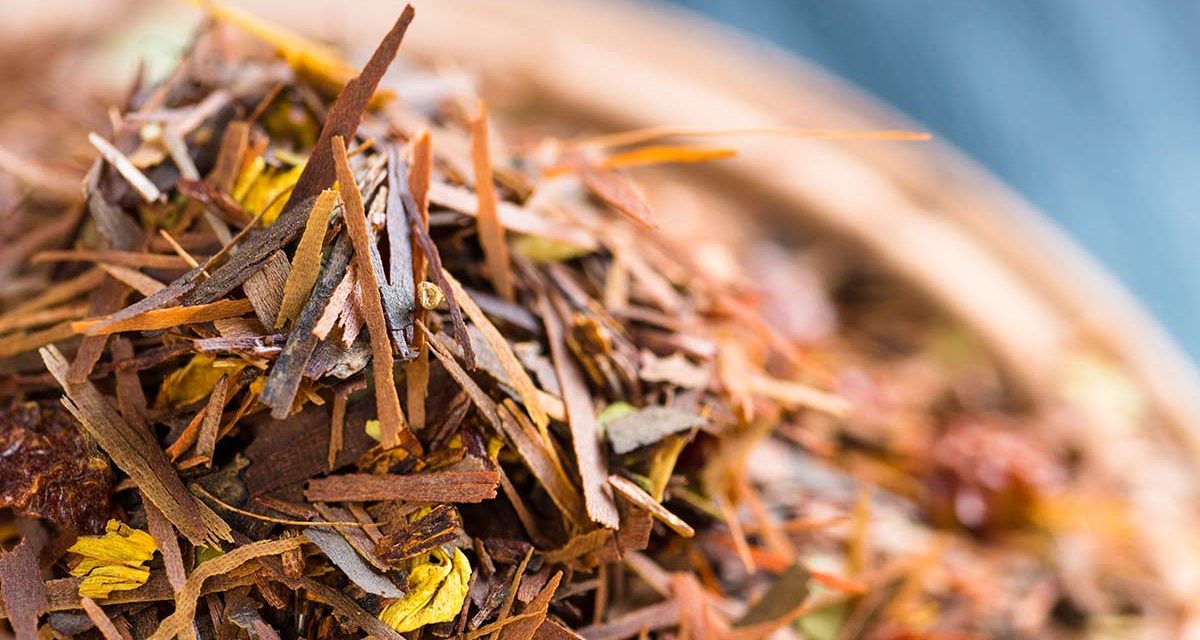 Rooibos Tee – Genuss aus Südafrika