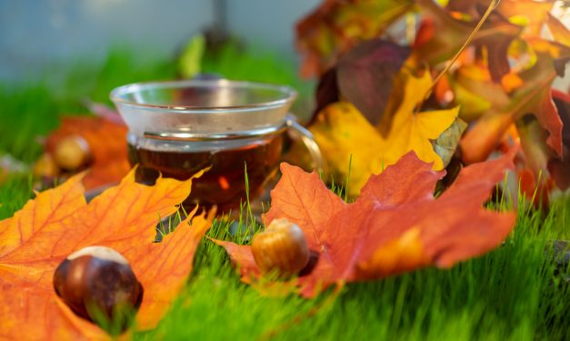 Tee im Herbst – Wärme, Duft und kleine Alltagshelfer